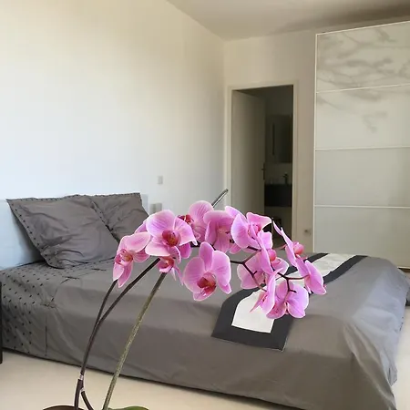 Les Restanques Bandol