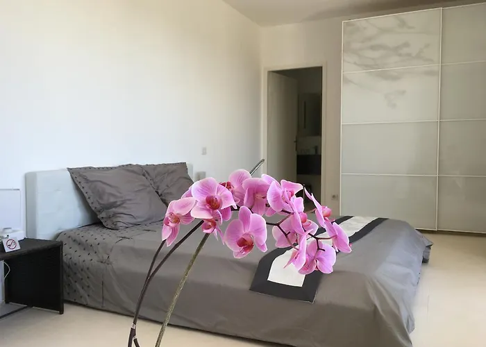 Les Restanques Bandol